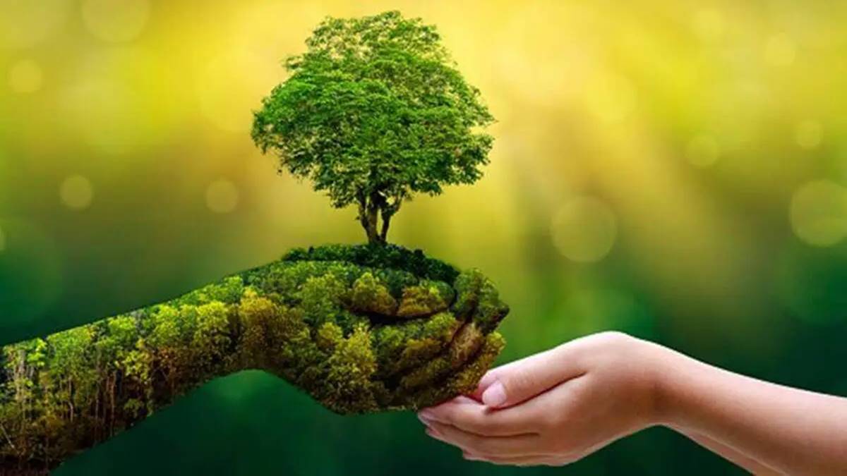blog details